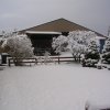 Ranch snow April 19, 2008 001